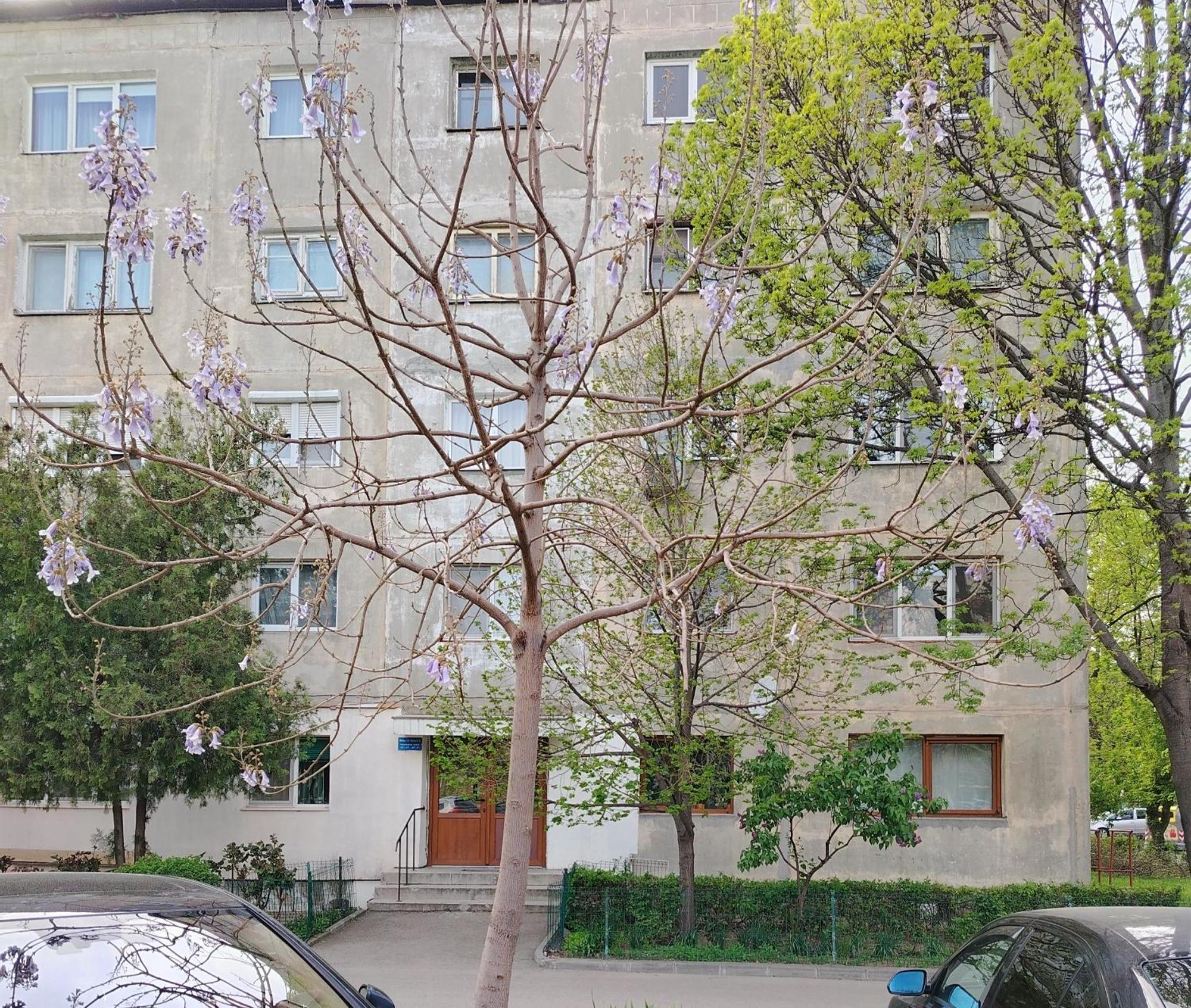 Arka Apartment Крайова Экстерьер фото